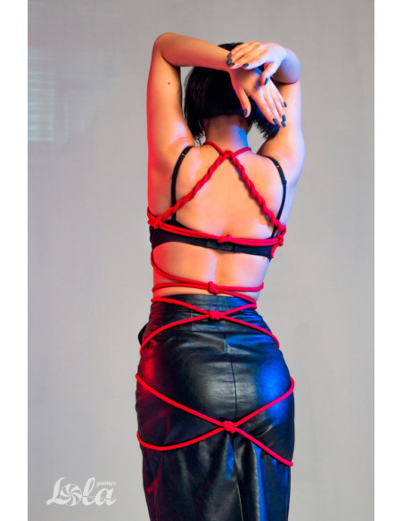 Веревка Party Hard Tender Red 10м