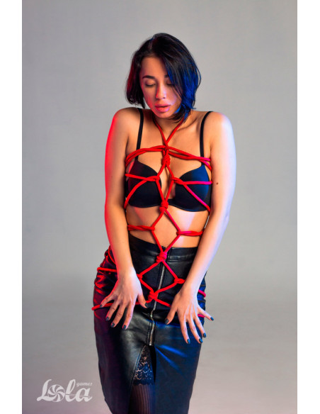 Веревка Party Hard Tender Red 10м