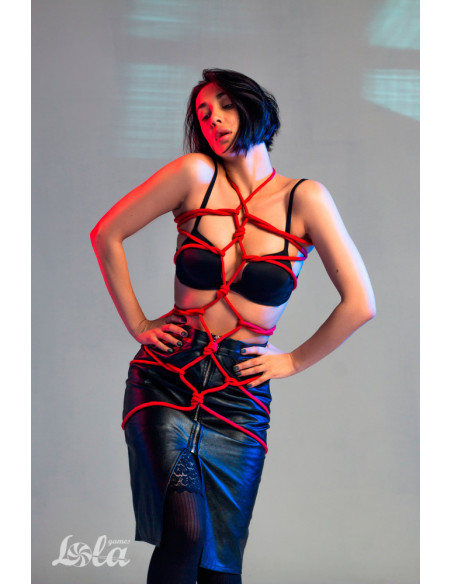 Веревка Party Hard Tender Red 10м