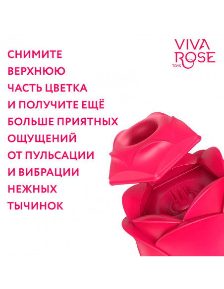 Вибромассажер 2в1 с вакуум-волновой стимуляцией Viva Rose Toys